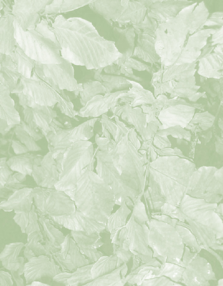 wp2d84e870_0f.jpg